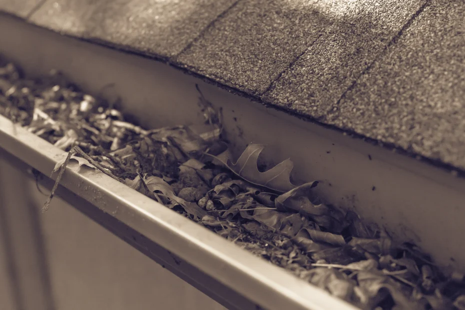 Gutter Cleaning Upper Arlington