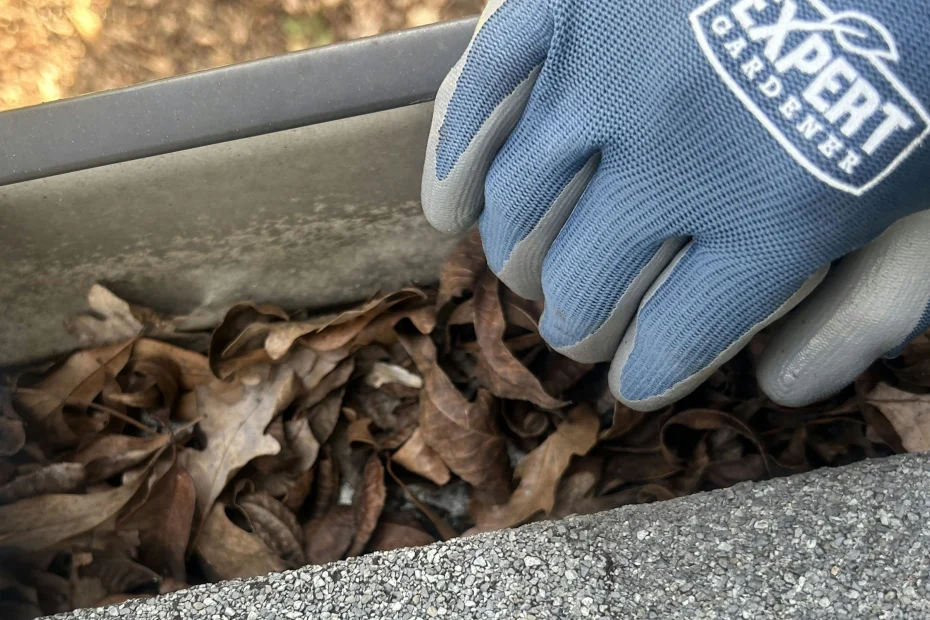 Gutter Cleaning Upper Arlington